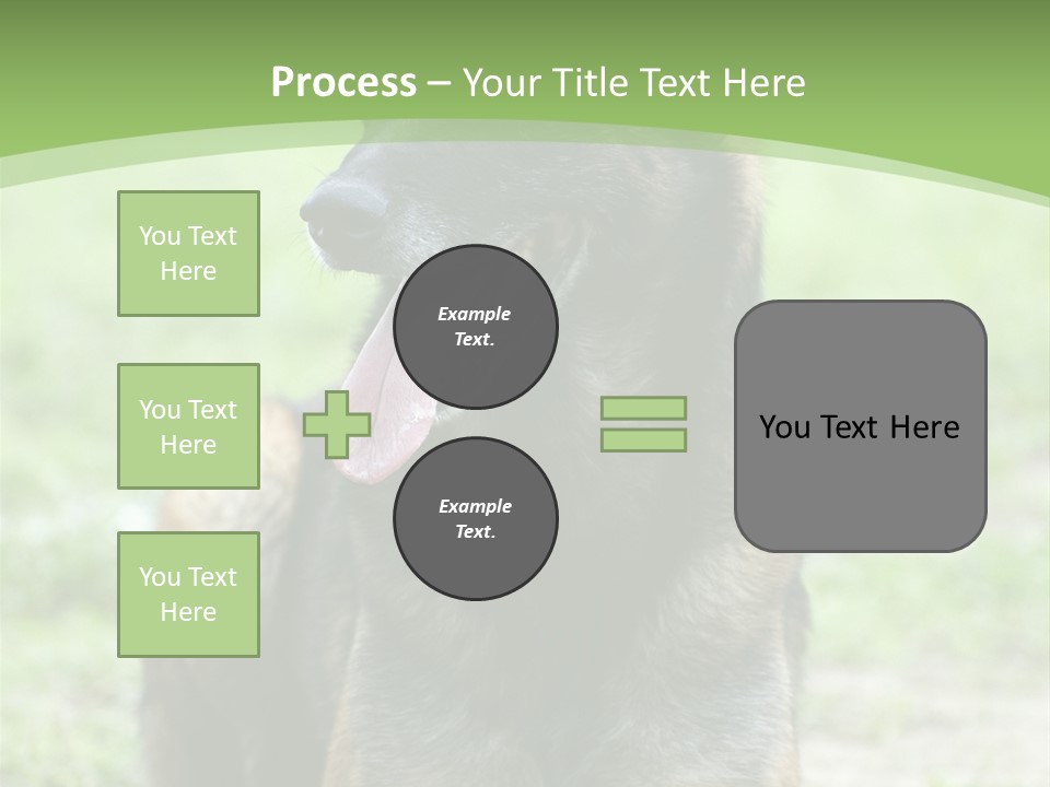 A German Shepherd Laying Down In The Grass PowerPoint Template