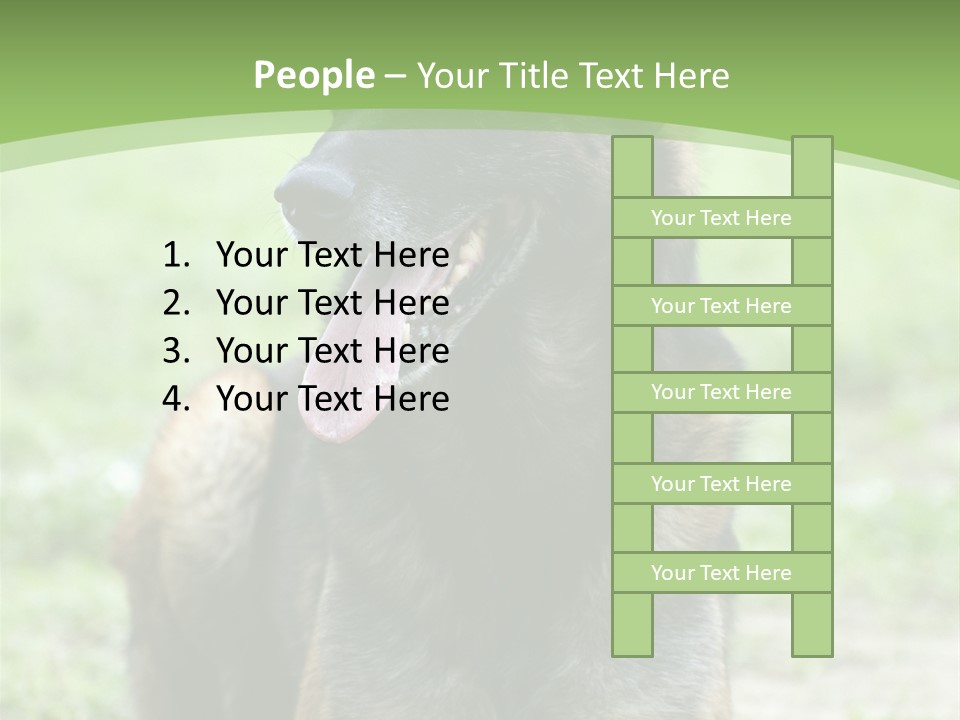 A German Shepherd Laying Down In The Grass PowerPoint Template