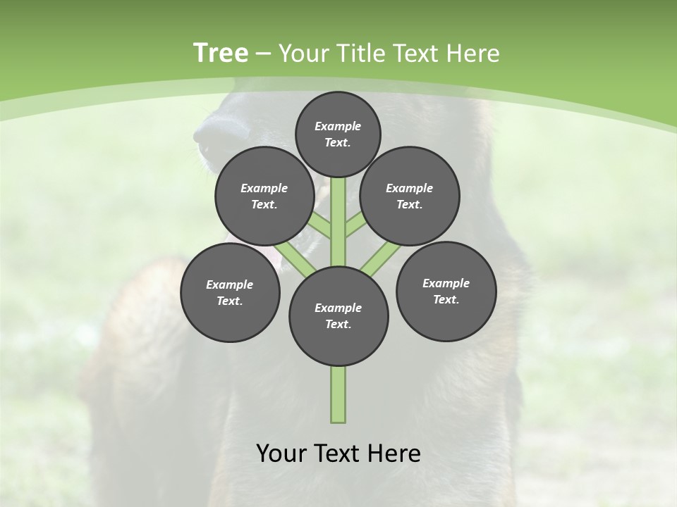 A German Shepherd Laying Down In The Grass PowerPoint Template