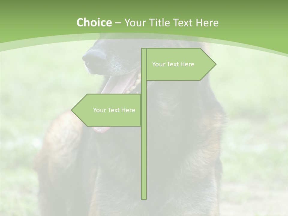 A German Shepherd Laying Down In The Grass PowerPoint Template