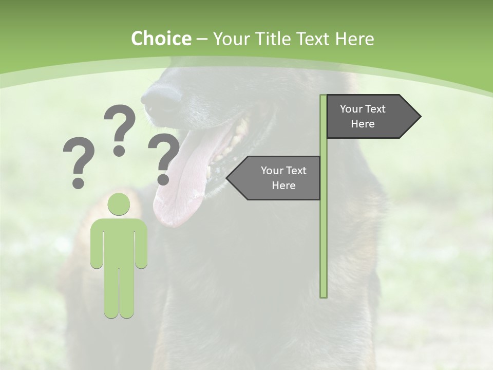 A German Shepherd Laying Down In The Grass PowerPoint Template