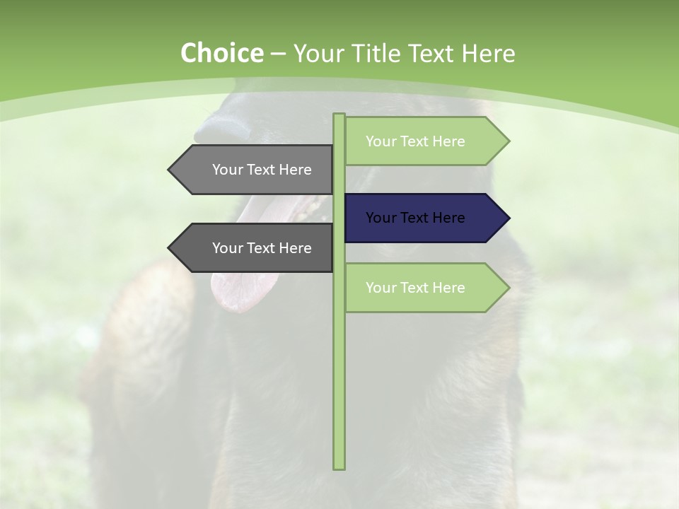 A German Shepherd Laying Down In The Grass PowerPoint Template