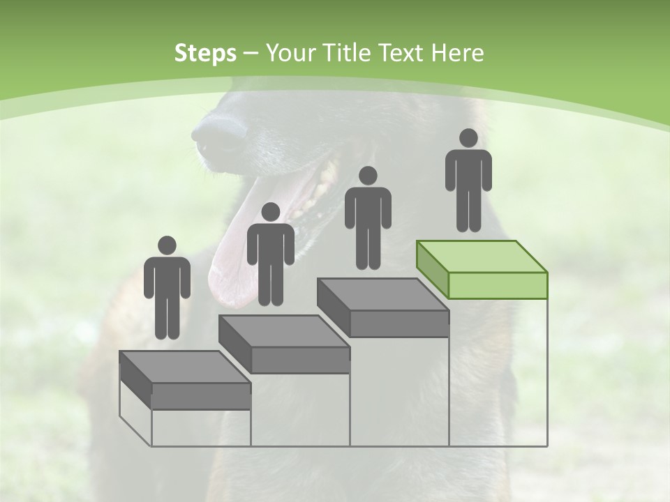 A German Shepherd Laying Down In The Grass PowerPoint Template