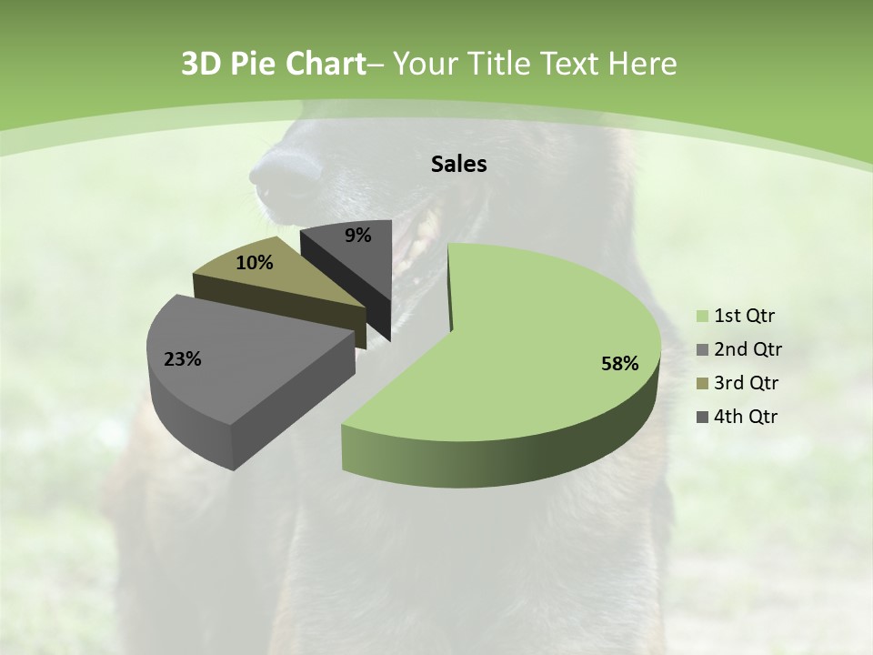 A German Shepherd Laying Down In The Grass PowerPoint Template