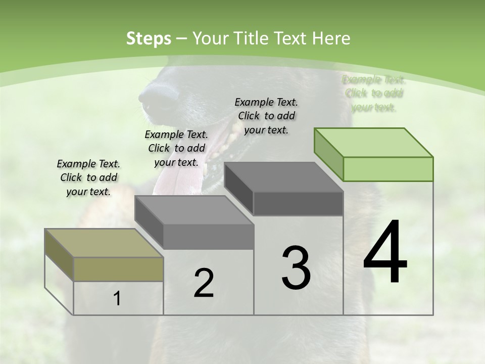 A German Shepherd Laying Down In The Grass PowerPoint Template