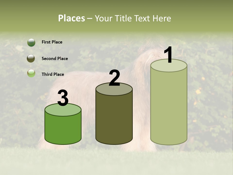 A Dog Standing In A Field With Trees In The Background PowerPoint Template