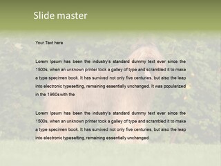 A Dog Standing In A Field With Trees In The Background PowerPoint Template