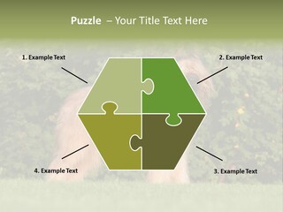 A Dog Standing In A Field With Trees In The Background PowerPoint Template