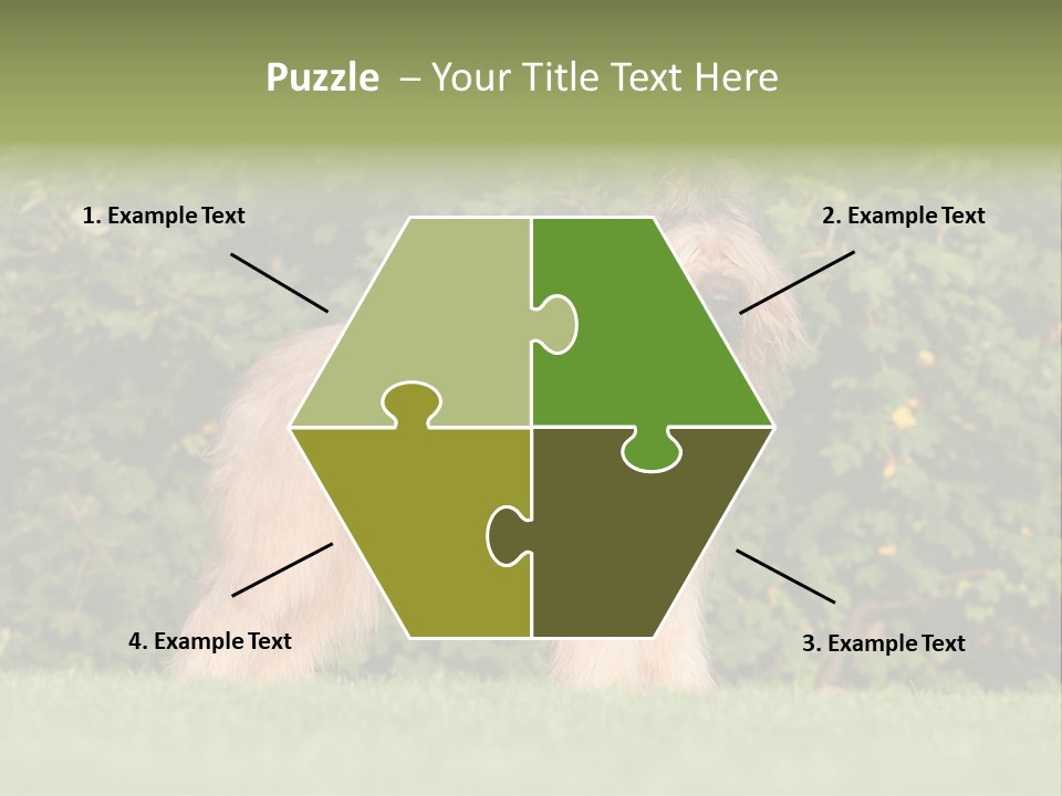 A Dog Standing In A Field With Trees In The Background PowerPoint Template