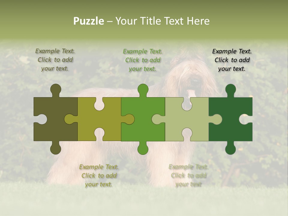 A Dog Standing In A Field With Trees In The Background PowerPoint Template