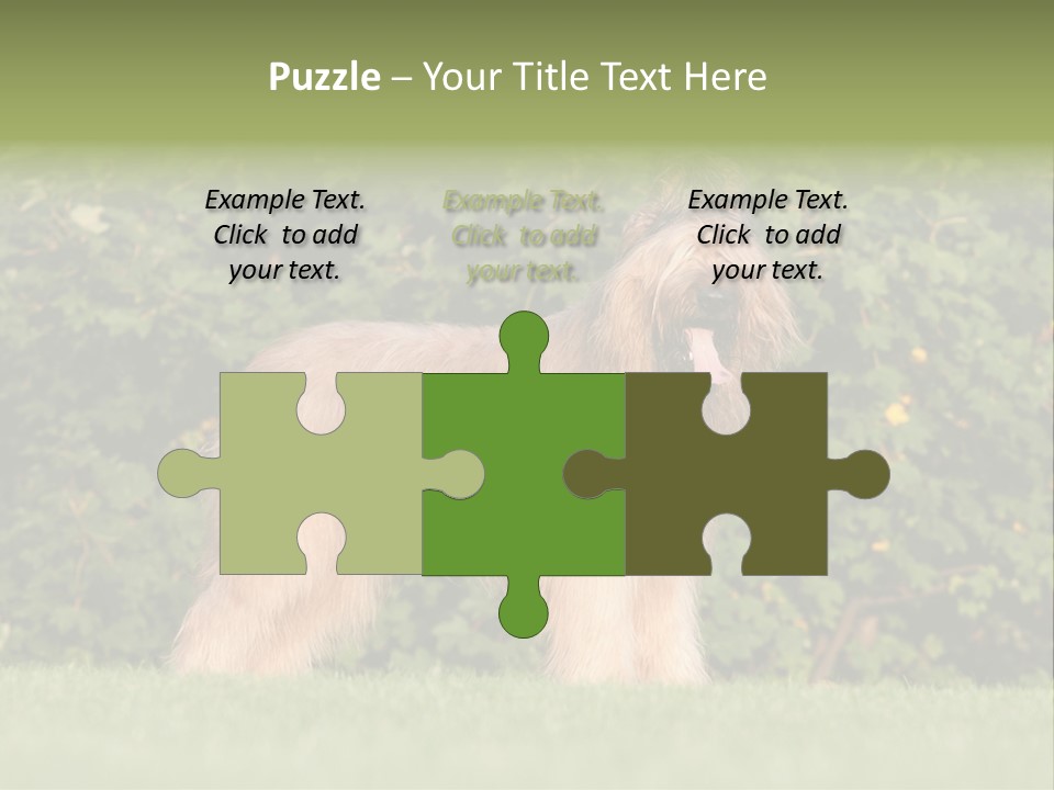 A Dog Standing In A Field With Trees In The Background PowerPoint Template