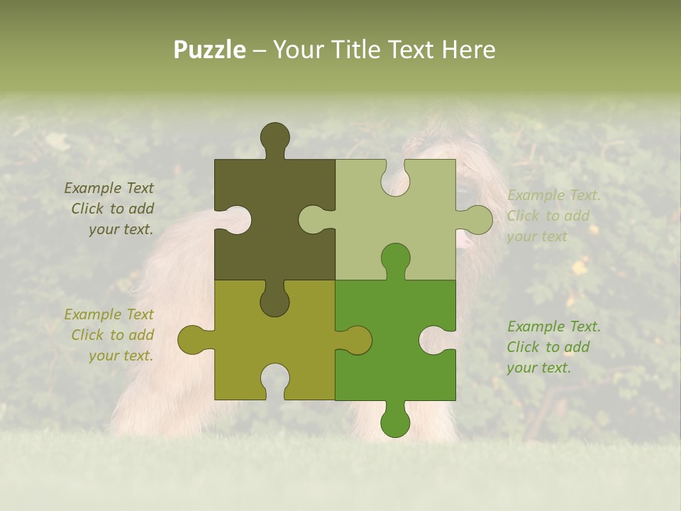 A Dog Standing In A Field With Trees In The Background PowerPoint Template