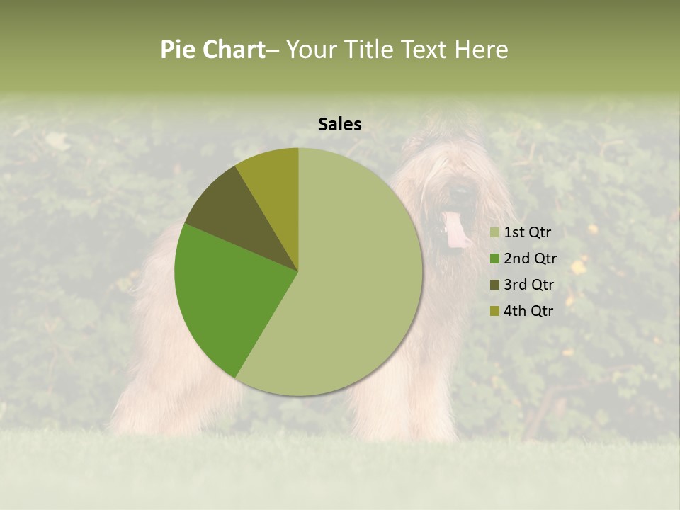 A Dog Standing In A Field With Trees In The Background PowerPoint Template