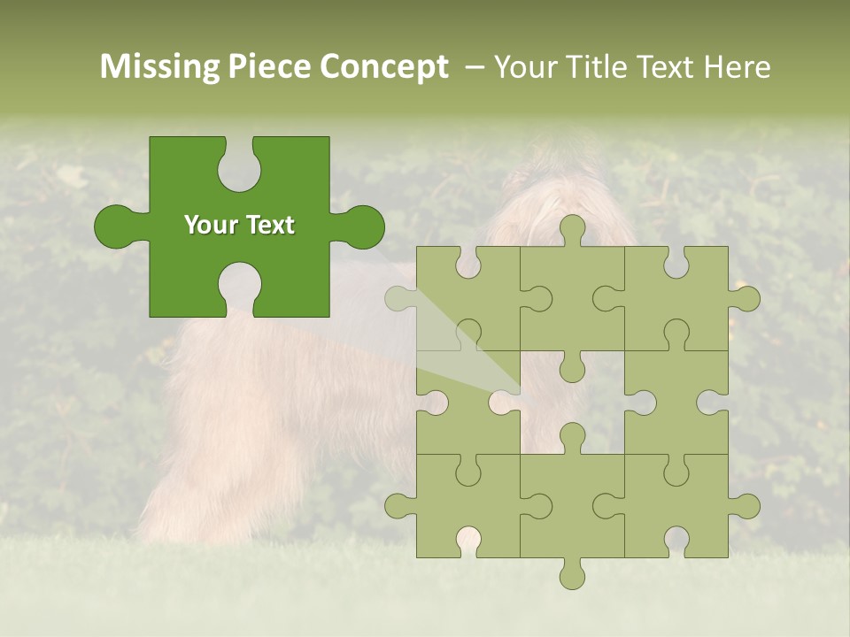 A Dog Standing In A Field With Trees In The Background PowerPoint Template