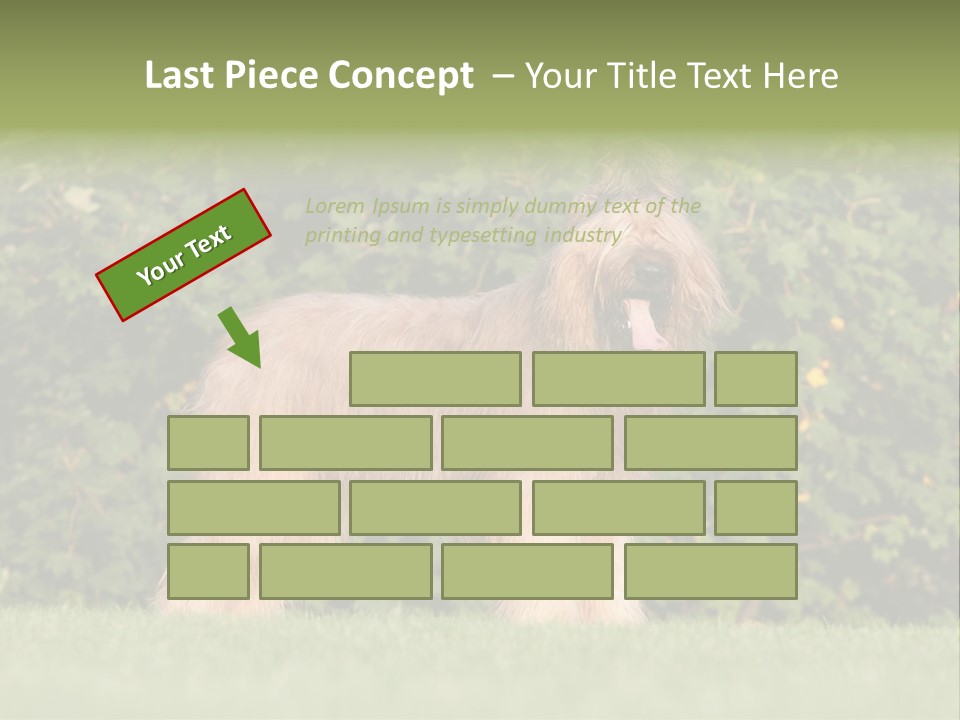 A Dog Standing In A Field With Trees In The Background PowerPoint Template