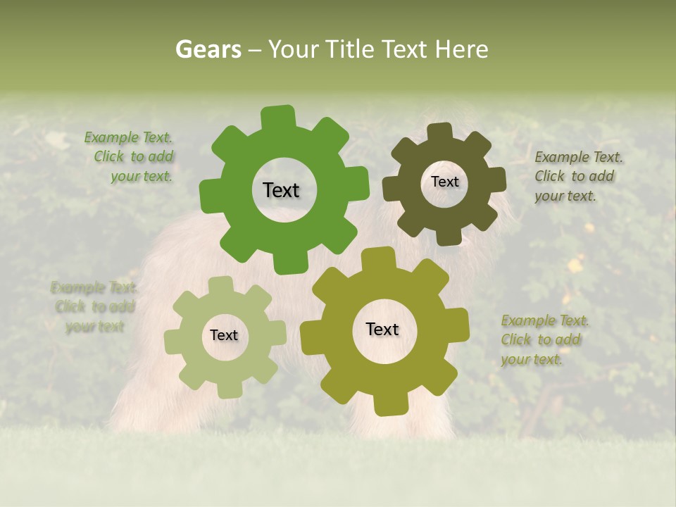 A Dog Standing In A Field With Trees In The Background PowerPoint Template