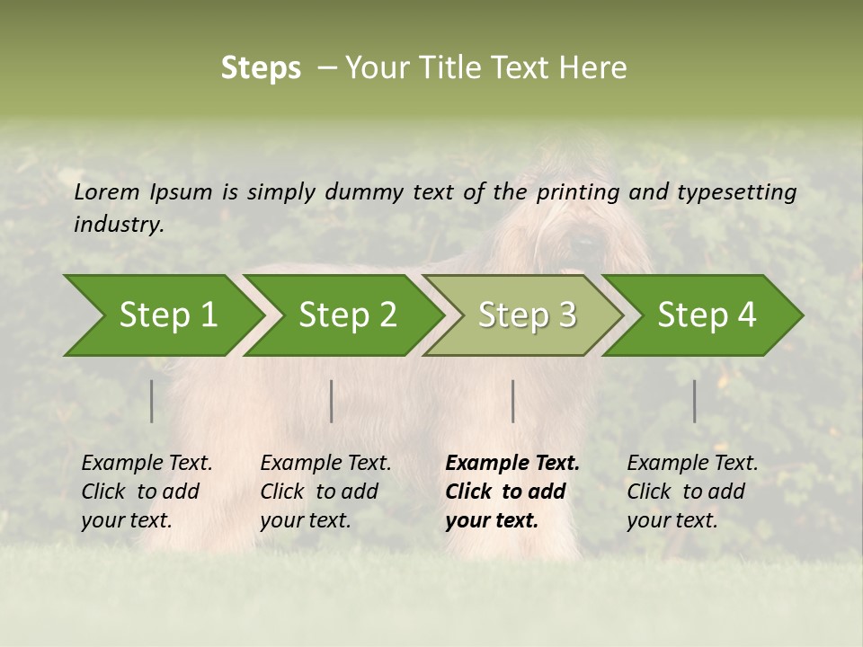 A Dog Standing In A Field With Trees In The Background PowerPoint Template