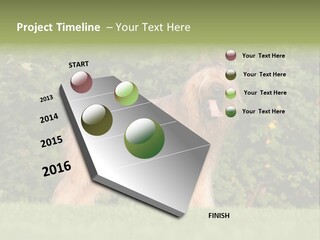 A Dog Standing In A Field With Trees In The Background PowerPoint Template
