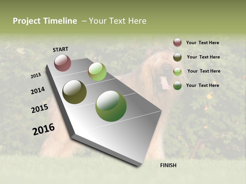 A Dog Standing In A Field With Trees In The Background PowerPoint Template