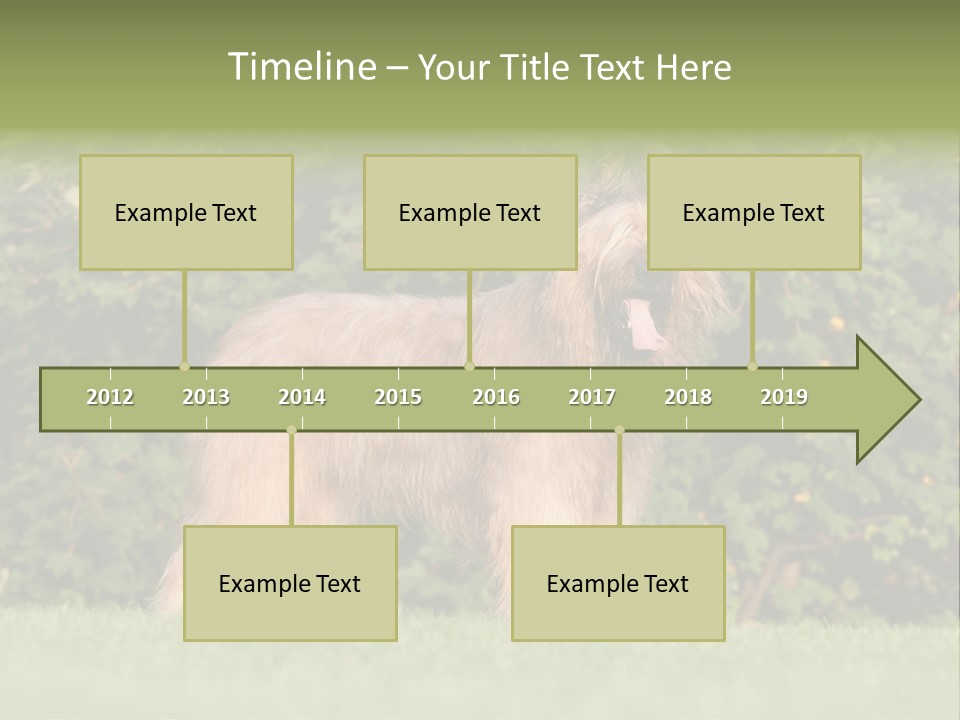 A Dog Standing In A Field With Trees In The Background PowerPoint Template