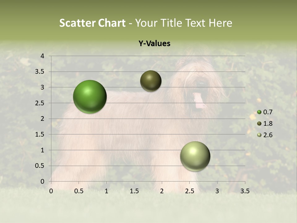 A Dog Standing In A Field With Trees In The Background PowerPoint Template
