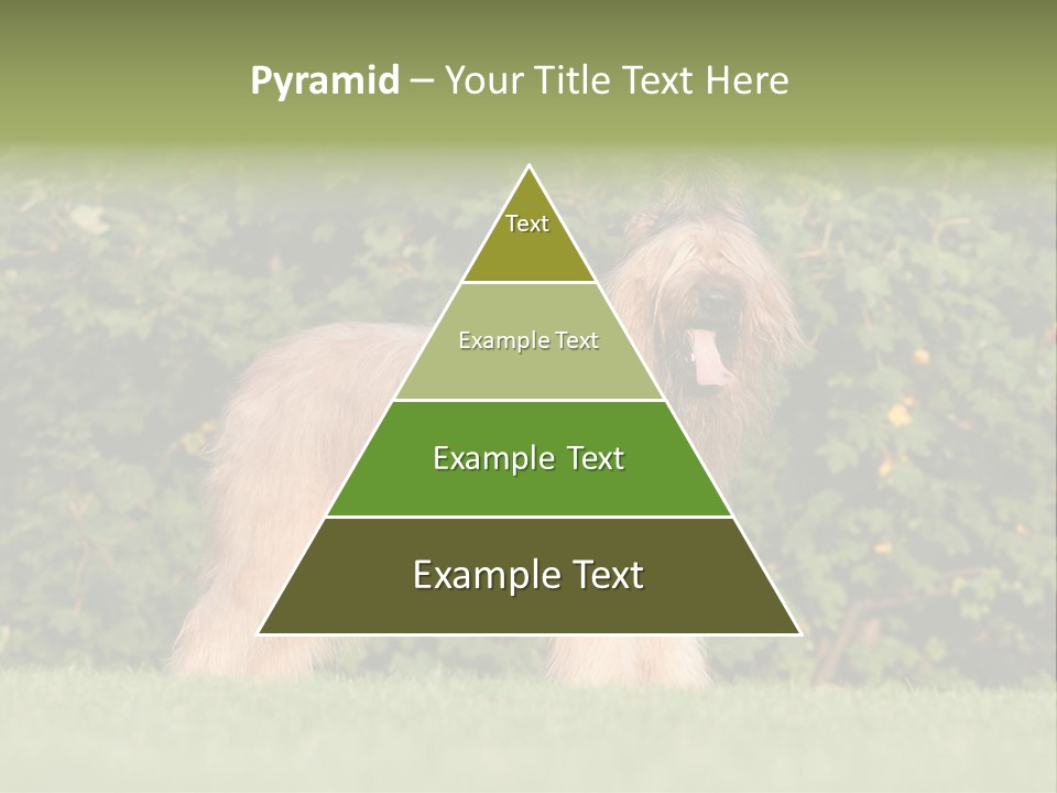 A Dog Standing In A Field With Trees In The Background PowerPoint Template
