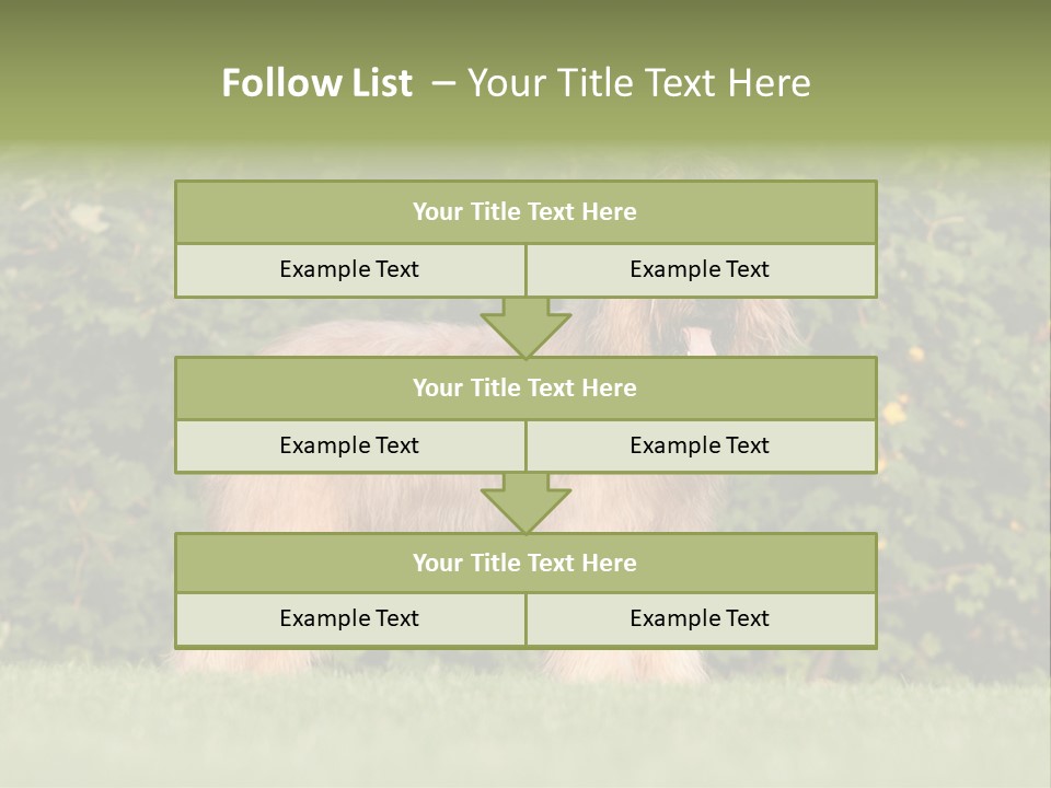 A Dog Standing In A Field With Trees In The Background PowerPoint Template