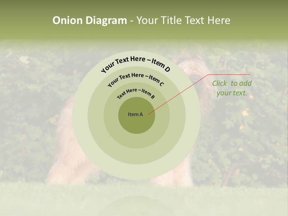 A Dog Standing In A Field With Trees In The Background PowerPoint Template