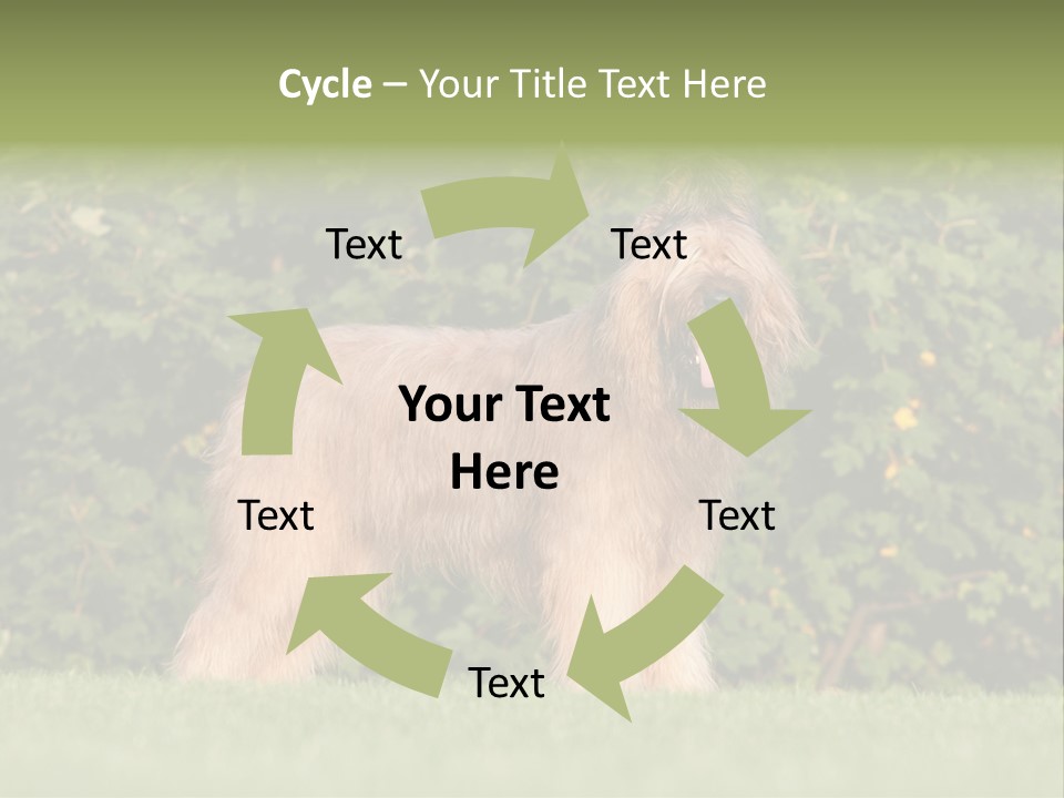 A Dog Standing In A Field With Trees In The Background PowerPoint Template
