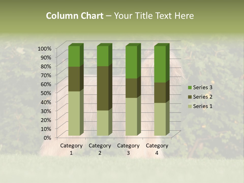 A Dog Standing In A Field With Trees In The Background PowerPoint Template