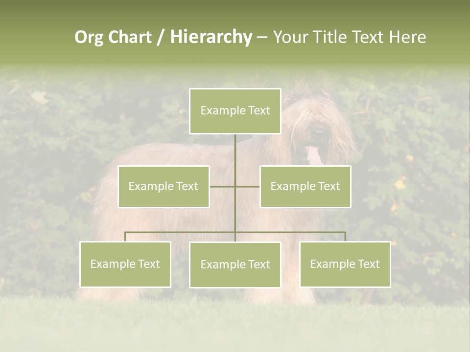 A Dog Standing In A Field With Trees In The Background PowerPoint Template