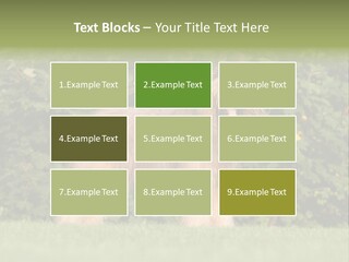 A Dog Standing In A Field With Trees In The Background PowerPoint Template