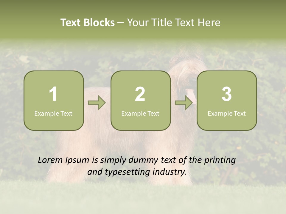 A Dog Standing In A Field With Trees In The Background PowerPoint Template