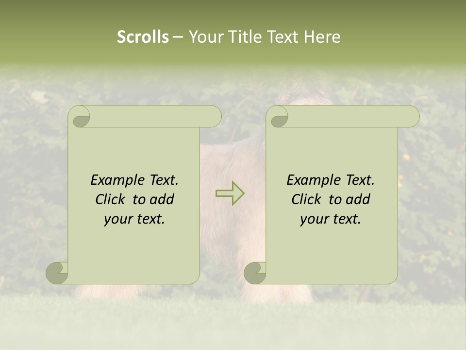 A Dog Standing In A Field With Trees In The Background PowerPoint Template
