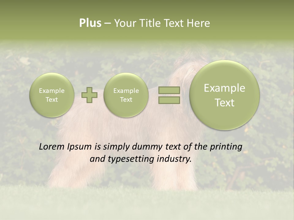 A Dog Standing In A Field With Trees In The Background PowerPoint Template
