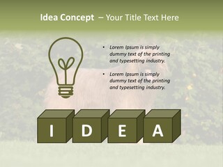 A Dog Standing In A Field With Trees In The Background PowerPoint Template