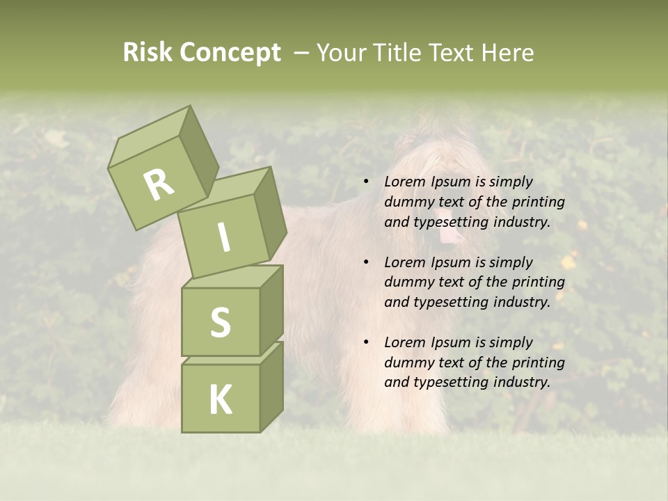 A Dog Standing In A Field With Trees In The Background PowerPoint Template