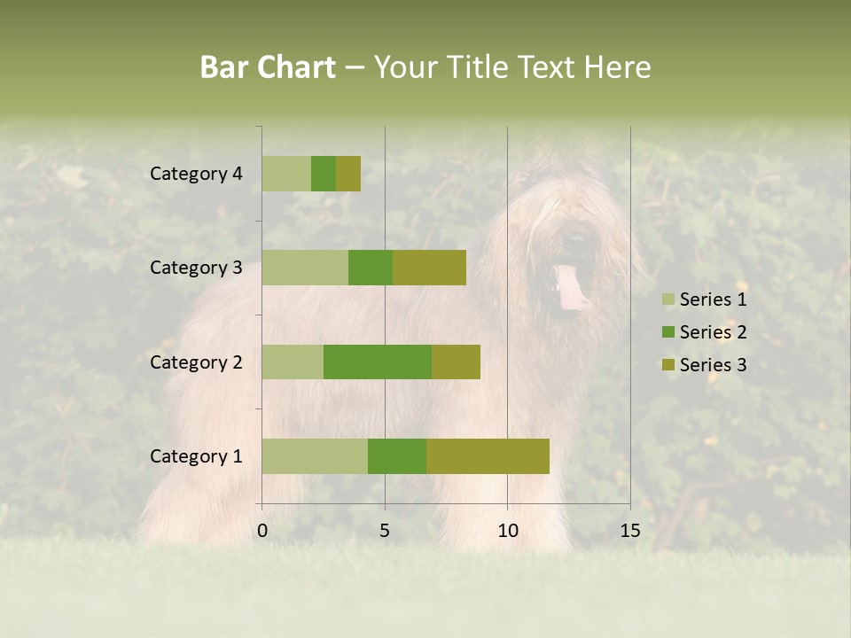 A Dog Standing In A Field With Trees In The Background PowerPoint Template