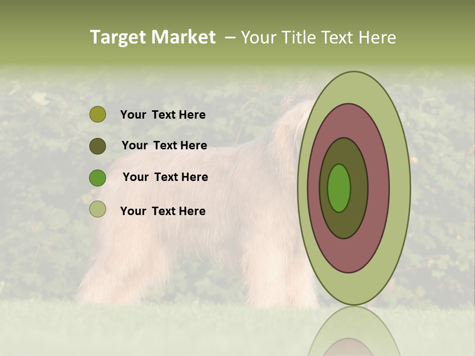 A Dog Standing In A Field With Trees In The Background PowerPoint Template