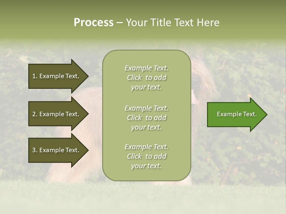 A Dog Standing In A Field With Trees In The Background PowerPoint Template