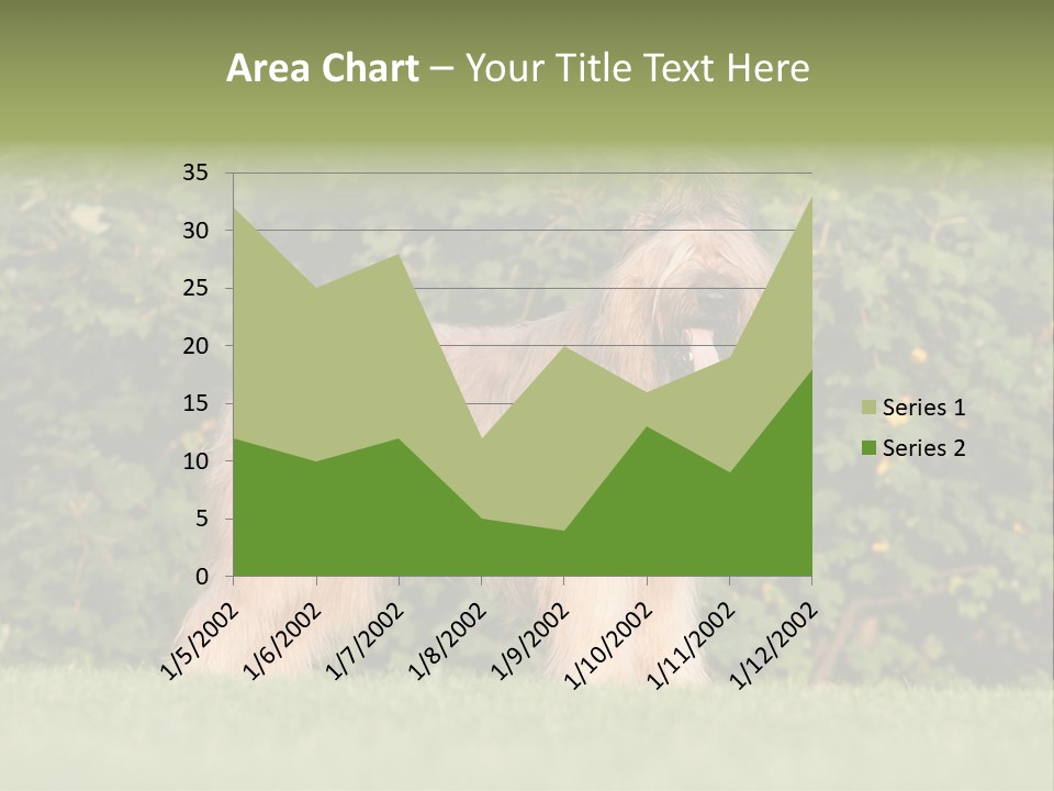 A Dog Standing In A Field With Trees In The Background PowerPoint Template
