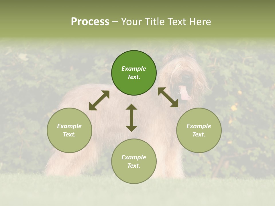 A Dog Standing In A Field With Trees In The Background PowerPoint Template