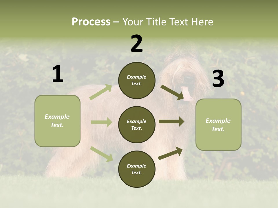 A Dog Standing In A Field With Trees In The Background PowerPoint Template