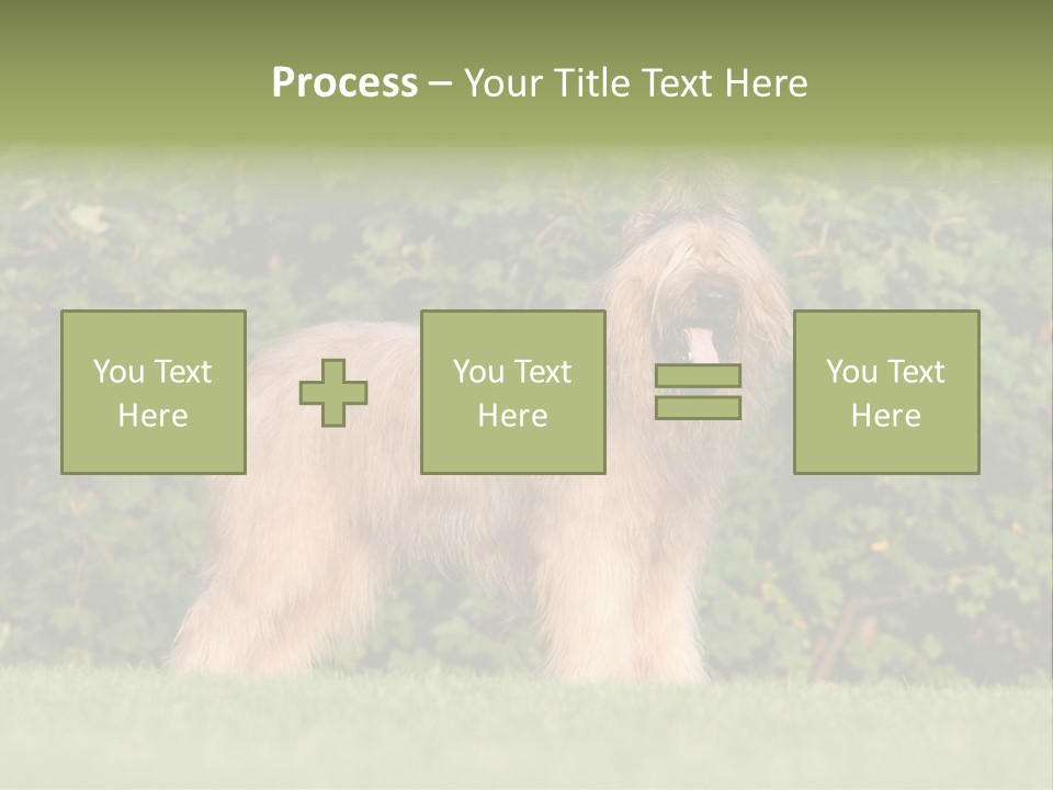 A Dog Standing In A Field With Trees In The Background PowerPoint Template