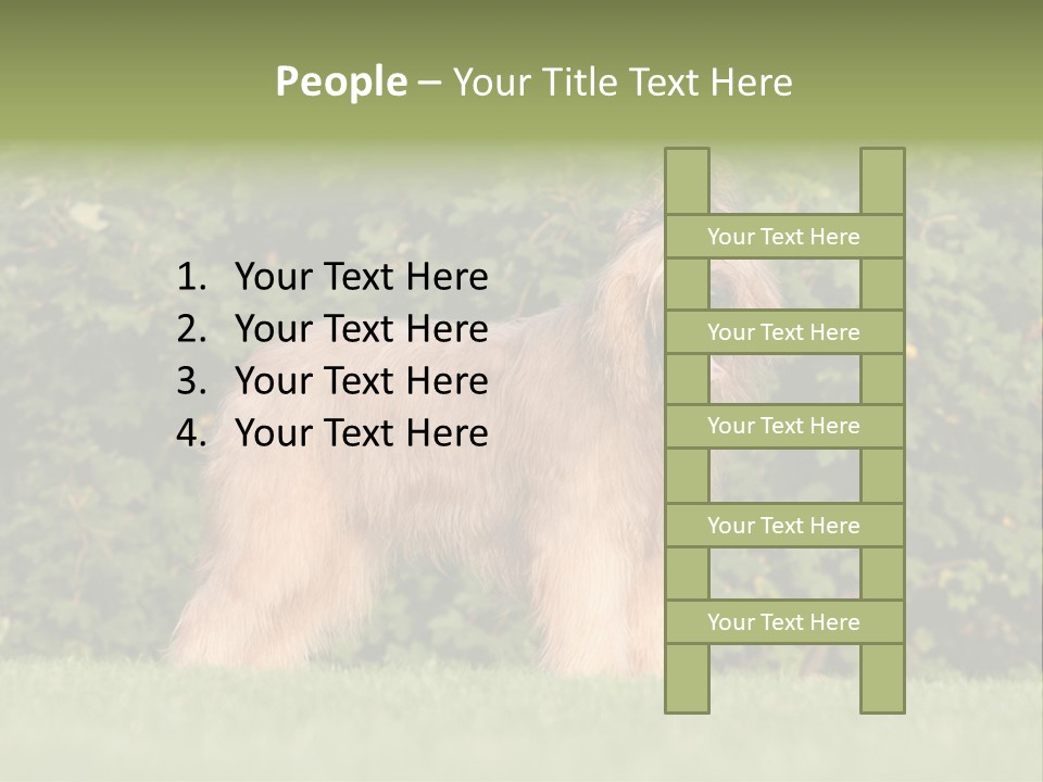 A Dog Standing In A Field With Trees In The Background PowerPoint Template