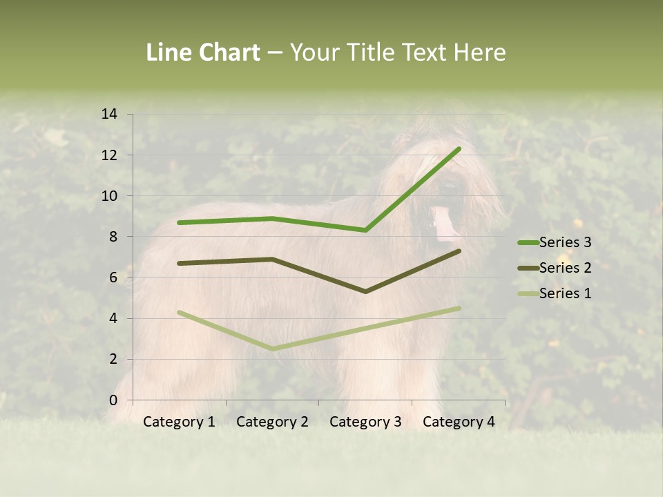A Dog Standing In A Field With Trees In The Background PowerPoint Template