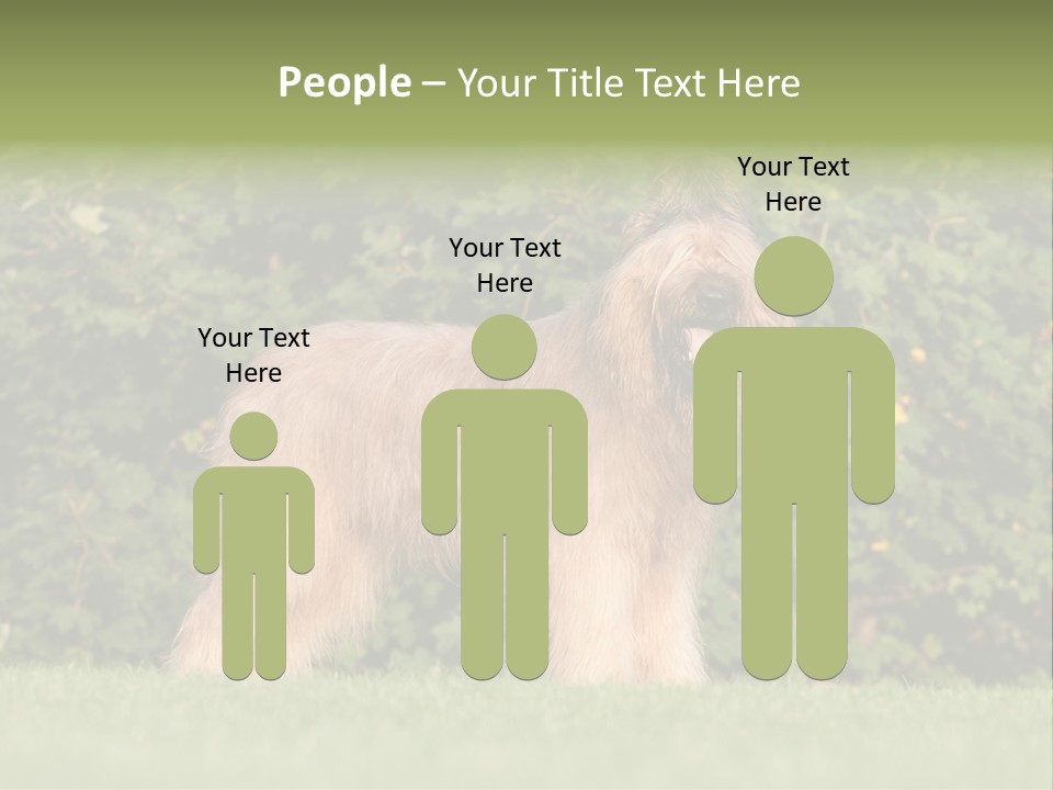 A Dog Standing In A Field With Trees In The Background PowerPoint Template