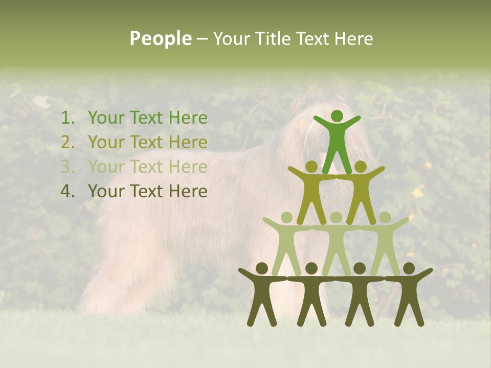 A Dog Standing In A Field With Trees In The Background PowerPoint Template