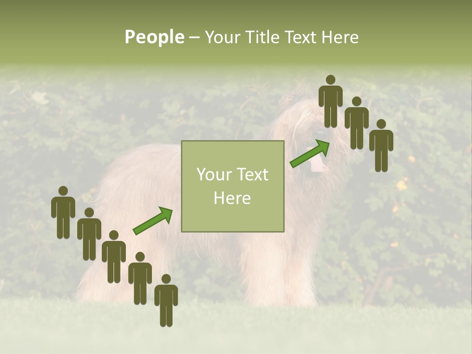 A Dog Standing In A Field With Trees In The Background PowerPoint Template