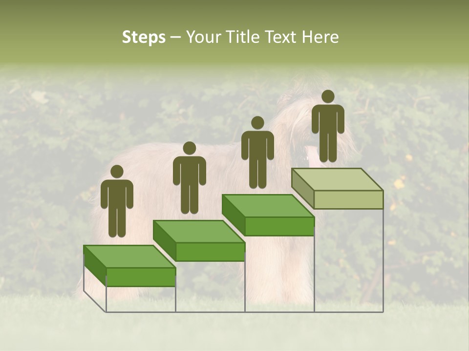 A Dog Standing In A Field With Trees In The Background PowerPoint Template